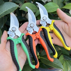 DIY <strong>Gardening</strong> Pruning Shears Steel Smooth <strong>Edge</strong> <strong>Plastic</strong> Handle Greening Tools Picking Fruits Vegetables Beak Flower Scissors - Product Image 4