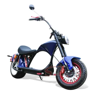 New Electric Motor Scooter 1000W Citycoco Moto Electricaトロッター一輪ポータブル折りたたみ電動スクーターcitycoco