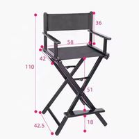 Chaise de Réalisateur Professionnelle Pliante en Métal, Portable et Robuste, pour Utilisation Intérieure et Extérieure, Idéale pour le Camping, le Maquillage, la Plage et comme Mobilier.