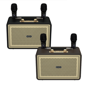 Boomsbass Giá Rẻ Không Dây Bằng Gỗ Ca Hát Hộp Loa Với Dual UHF Microphone Di Động Bluetooth Hệ Thống Âm Thanh Điện Cho Karaoke - Product Image 5