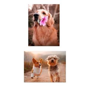 Lámina de aluminio personalizada para fotos de mascotas, impresión por transferencia térmica para retratos de animales, decoración personalizada para el hogar - Product Image 3