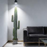 Plantes artificielles du désert, cactus en plastique, toucher naturel, résistant à l'eau, écologique, pour la décoration intérieure, mariage, nouvel an