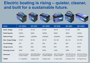 포포 딥 사이클 해양 트롤링 모터 배터리 LiFePO4 24V 60Ah 리튬 배터리 - Product Image 3