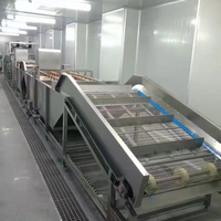 Volautomatische Groente Fruit Sorteren Snijden Wassen Drogen Verwerkingslijn Fruitgroente Wasmachine Verwerkingsmachines