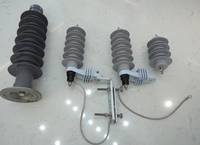 Parafoudre en oxyde de zinc métallique 33 kV, type polymère composite