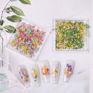 Mixed Natural <b>Dried</b> Flower Nail Stickers Summer <b>Petal</b> Nail Art Decals Colorful Real Flower Decorations for Nail Salon - Product Image 3