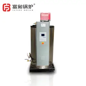 Gas-fired Vertical Industrial 200kg Hot Water Boiler for Bath