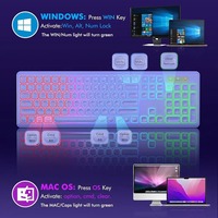Clavier et souris sans fil ergonomiques RVB rétroéclairés 2,4 G avec angle inclinable USB 2000 dpi pour ordinateur portable (en stock)
