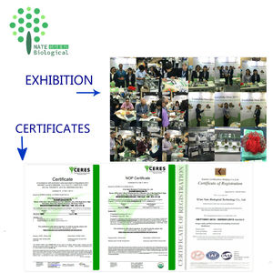 <span class=keywords><strong>Rhizoma</strong></span> Kaempferia Galanga Kaempferia Parvifloraエキスケンフェロールサプリメントパウダー - Product Image 6