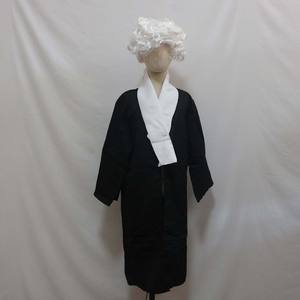 बच्चे हेलोलीन के वकील के करियर की पोशाक, विग CARR-002 - Product Image 5