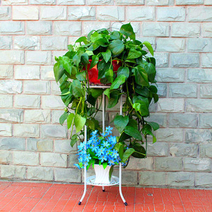 European Style Wrought Iron Flower Stand Multi Layer Indoor Balcony Plant Rack Living Room Pothos Succulent Pot Holder - Product Image 2