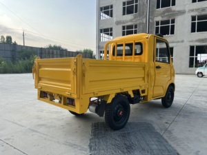 ESUN <span class=keywords><strong>Auto</strong></span> Elettrica Mini <span class=keywords><strong>a</strong></span> Due Porte Personalizzata per Casa e Trasporto Merci - Pickup Spedibile in Versione SKD o CKD Prodotto in Cina - Product Image 6