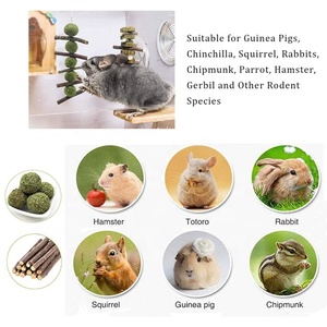 Small Animal <strong>Toy</strong>, <strong>Pet</strong> Snack <strong>Toy</strong> with Grass Cake, Apple Wood Chewing Sticks Natural Grass Ball <strong>Rabbit</strong> Hamster Guinea Pig - Product Image 6