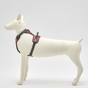RT venta al por mayor de alta calidad inflable mascota perro modelo accesorios <span class=keywords><strong>para</strong></span> mascotas maniquí de perro suave <span class=keywords><strong>para</strong></span> la Venta <span class=keywords><strong>Ropa</strong></span> de perro exhibición - Product Image 6