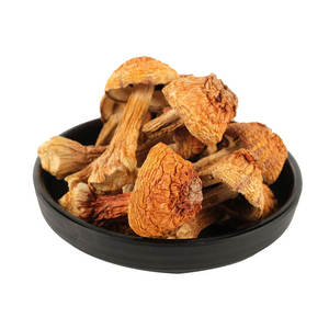 थोक जी गीत उच्च गुणवत्ता वाले सूखे हिमटसुले मशरूम प्राकृतिक कार्बनिक मशरूम एजिरकस ब्लेजी भित्ति चित्र - Product Image 1