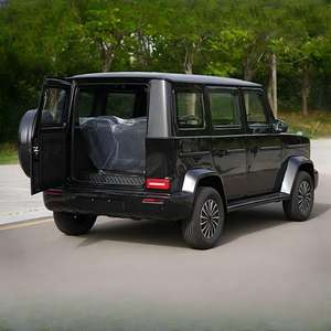 Véhicule électrique avec une autonomie de 100 km, moteur de 2 à 4 kW pour les déplacements quotidiens, quadricycle électrique pour usage domestique, adapté aux personnes âgées - Product Image 3