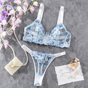 Wholesale Sexy Girls See Through Mesh Floral Sheer Women Lingerie Flower Embroidered Light Blue Underwear - Product Image 6