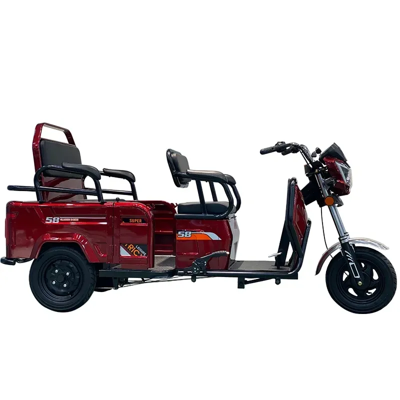 Nuovo stile passeggero triciclo elettrico scooter 3 ruote 600W per adulto