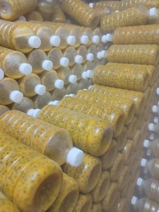 Jugo de Maracuyá 100% Puro Congelado NFC, Pulpa de Maracuyá Natural Sin Azúcar Añadido para Bebidas, Smoothies y Cócteles - Product Image 4