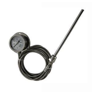 <span class=keywords><strong>Thermomètre</strong></span> capillaire haute température à <span class=keywords><strong>prix</strong></span> bas personnalisé - Product Image 5