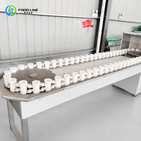 Ligne de production de jus de tomate. Usine complète de transformation de tomates, machine de remplissage de purée et de jus de tomates