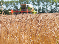 Moissonneuse-batteuse à flux axial GN60 140 CV, machine multi-cultures avec cabine ergonomique pour la récolte du riz, du blé, du maïs et du soja