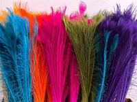 Plumes de paon naturelles teintes et décolorées en gros pour accessoires de bricolage