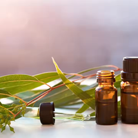 Huile d'eucalyptus citriodora pure et naturelle, huile d'eucalyptus citronné pour vaporisateur d'ambiance, produit de nettoyage et spray anti-insectes et anti-moustiques