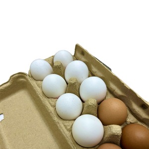 Garantía de calidad Fuerte capacidad de carga 10 cartón de huevos Nuevo producto 10 cartones de huevos regenerados - Product Image 2
