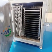 Industriële 50Kg 100Kg 500Kg Capaciteit Sublimatie Vriesdroger Fruit Vriesdroogmachine