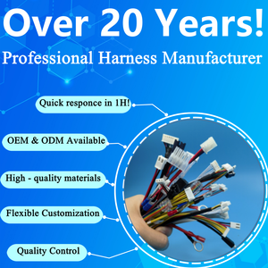 OEM ODM Molex Micro-Fit 3.0 24-poliger Molex Custom Wire Haness MX 3.0-Anschluss 2 * 12-polige Pigtail-Kabel baugruppe für ATX-Netzteil - Product Image 6