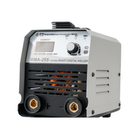 En gros Mini 255 Poste à souder portable à onduleur, 5 cartouches de circuits imprimés, MMA 160A, pour soudage à l'arc, Machine à souder MMA