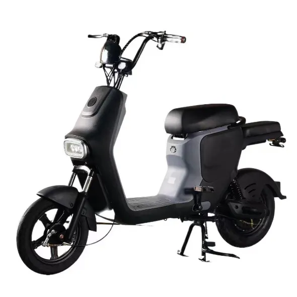 Bicicletta elettrica cinese di alta qualità ebike con batteria al piombo più popolare e conveniente