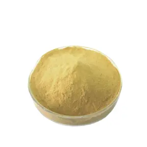La levure autolisée est une Source de Nutrition naturelle idéale dans un milieu de Fermentation microbien fabriqué à partir de 100% de poudre de levure de brassage fraîche