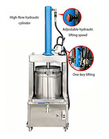 Industriële hydraulische persmachine voor de verwerking van sap- en wijnresten