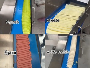 Affettatrice Commerciale in Acciaio Inossidabile per Carne Cotta, Manzo, Maiale, Prosciutto, <span class=keywords><strong>Tacchino</strong></span>, Salsiccia, Bacon e Lavorazione Alimentare - Product Image 2