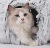 Tunnel multifonctionnel pour chat avec lit pour chat Tunnel pliable en peluche pour chat avec tube de coussin