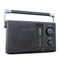 Tragbarer drahtloser BT Lautsprecher batteriebetriebener Ac-Strom Dsp Stecker Am Fm Radio mit bestem Empfang