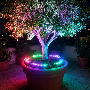 Lampe annulaire professionnelle DMX512 RGBW IP65 étanche 24V DC, design modulaire, <span class=keywords><strong>pour</strong></span> jardin, paysage, hôtel, arbre - Product Image 6