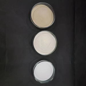 Nhà cung cấp Trung Quốc của P-121 PCE polycarboxylate superplasticizer phụ gia cho bê tông Giá cả cạnh tranh - Product Image 2