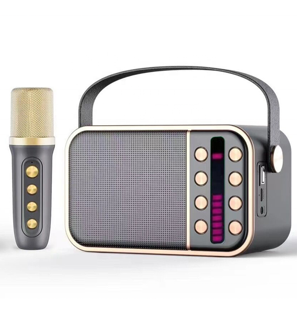 LED Mini Microphone Karaoke MachineKids Portable Bluetooth PA Speakers System with Wireless Mic and bluetooth Speaker