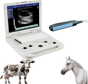 Echographe vétérinaire portable et économique EUR VET pour le diagnostic des chiens et l'usage humain - Product Image 3