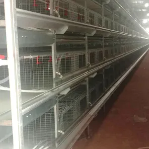 H Jenis Ayam Brooder Lapisan Kandang Ayam Broiler 4 Lapisan Kandang Unggas