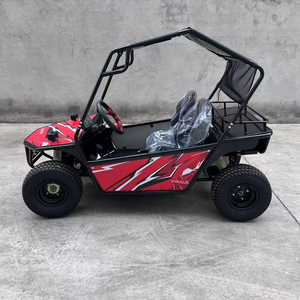 Karts de course électriques à deux places 1000W/48V Buggy Dune alimenté pour Parent-Enfant Off-Road Drift Adventure Fun Outdoor Activity - Product Image 4