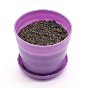 Kit de culture de plantes, expérience scientifique éducative, ensemble d'apprentissage DIY pour les étudiants, projets scolaires, outil d'observation et d'enseignement - Product Image 1