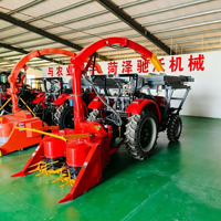 Mesin Pemanen Pakan Ternak Bertenaga Traktor Mini dengan Gearbox Berbantalan Ganda untuk Panen Batang Jagung dan Rumput Gajah