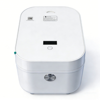 Autocuiseur IH 4L 1250W en gros, cuve en acier inoxydable, faible teneur en sucre, multifonction, contrôle tactile, 9 programmes, minuterie programmable 24h