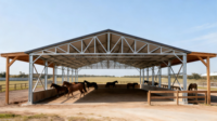 Abri pour chevaux Atelier préfabriqué Bâtiment Structures en acier Cadre en acier Grange équestre Parc équestre Couvert Cheval Moderne Extérieur