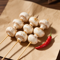 Brochettes de barbecue jetables en bambou Eco Bamboo Era - Bâtonnets écologiques antiadhésifs à long manche poli pour le camping et l'extérieur (lot en vrac)