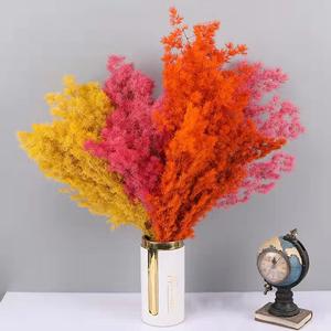 Nuevo Producto 2026, Ramas de Helecho Ming Preservadas, Flores Secas, Decoración Ecológica para el Hogar y Bodas, Día de San Valentín, Año Nuevo Chino - Product Image 2